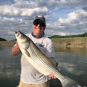 Meet your Posher, Kevin